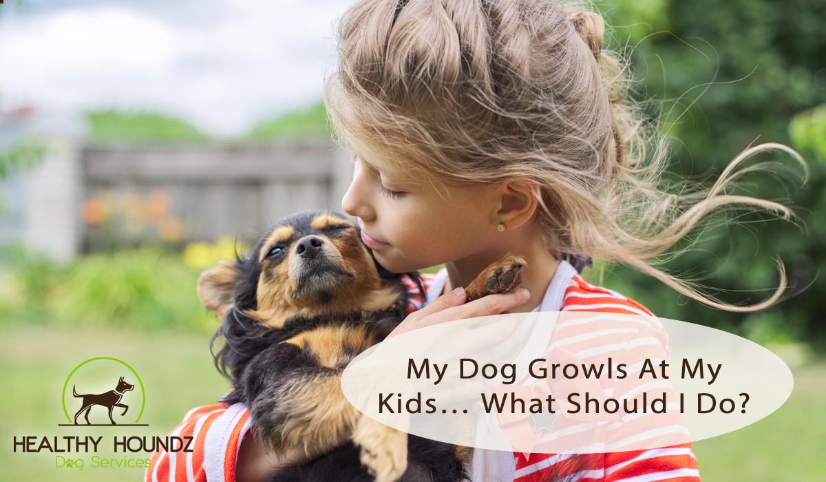 Dog growls at my kids