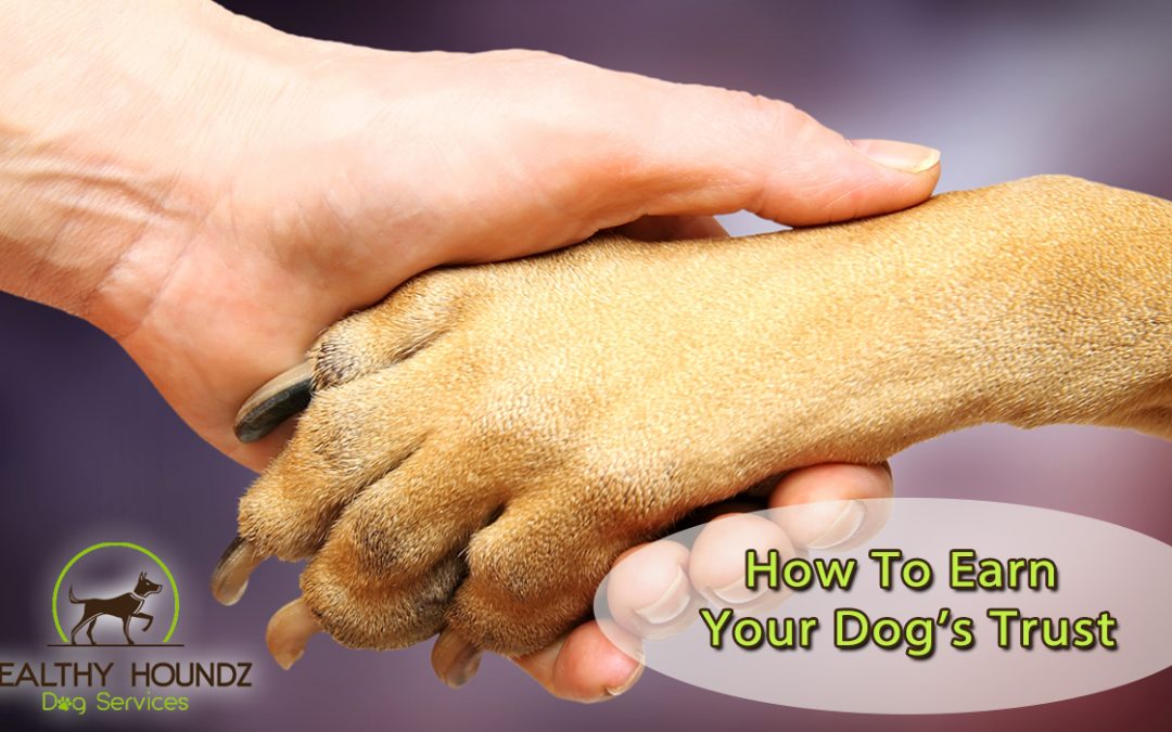 How To Earn Your Dog’s Trust
