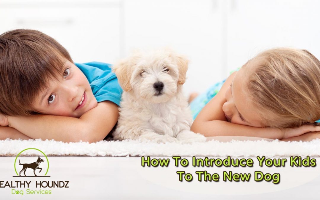 How To Introduce Your Kids To The New Dog