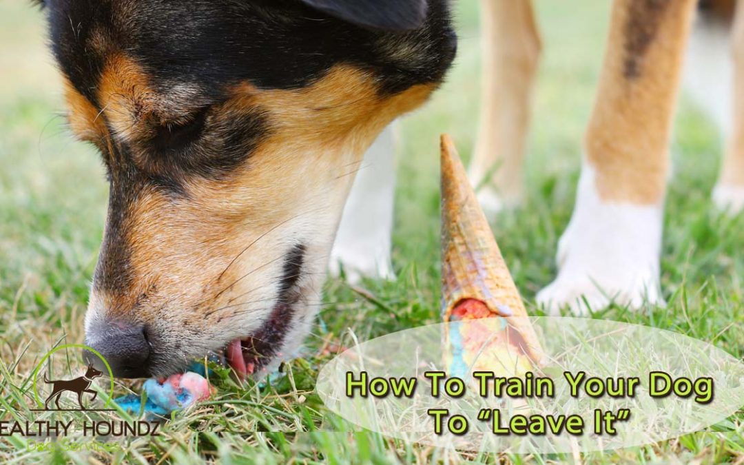 How To Teach Your Dog To “Leave It”