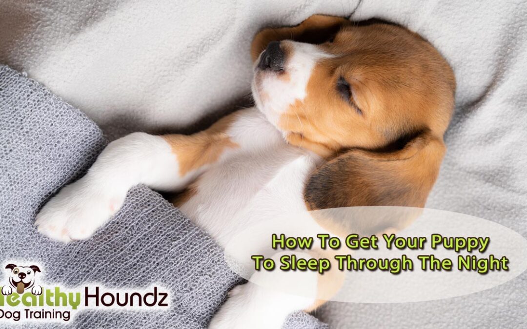 How To Get Your Puppy To Sleep Through The Night