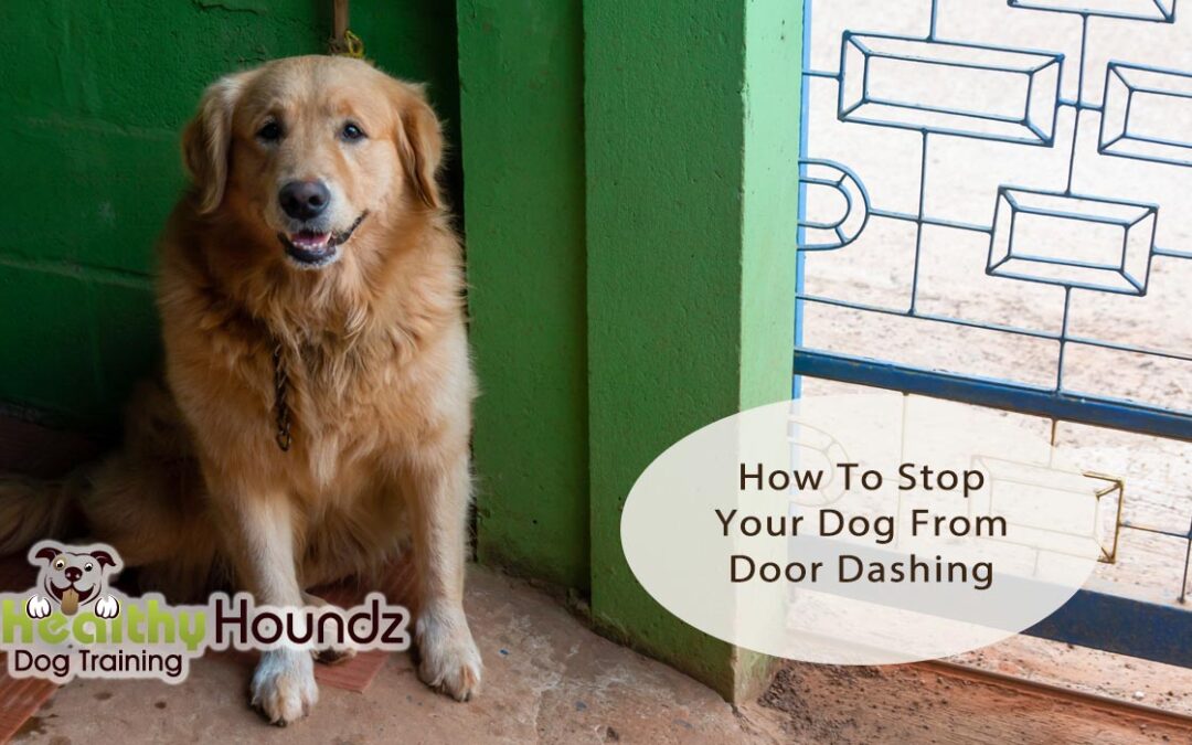 How To Prevent Your Dog From Running Out The Front Door