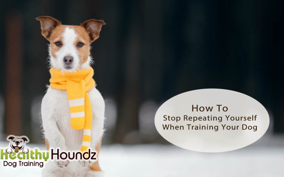 How To Stop Repeating Yourself When Training Your Dog